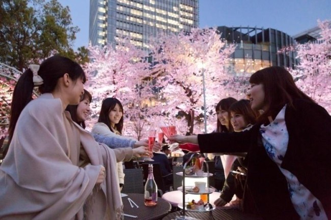 cherry-blossom-viewing1