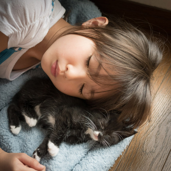 animal-lovers6