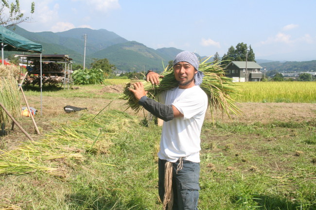 farmer11