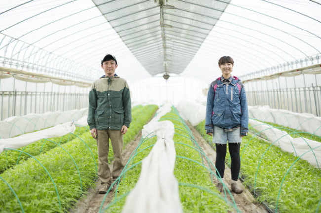 farmer4